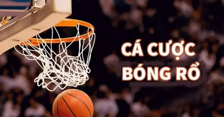 Tìm Hiểu Cá Cược Bóng Rổ 79Win: Bí Quyết Thành Công